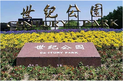 โครงการ ZHSU-สวนสาธารณะเซ็นจูรี่เซี่ยงไฮ้